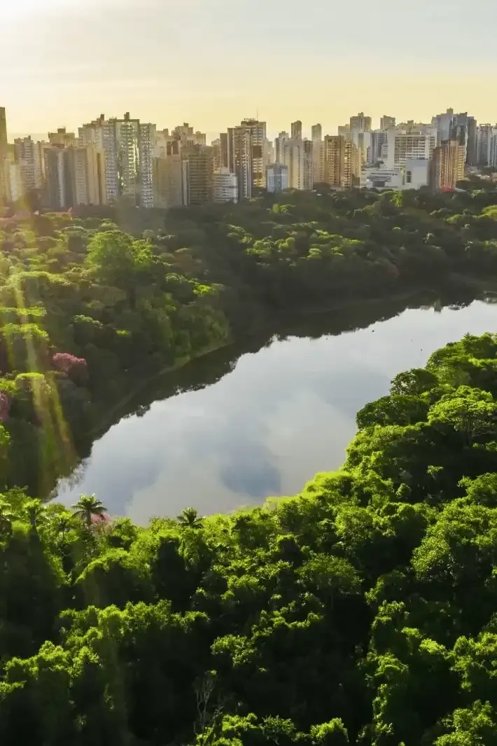 Vista de uma lagoa cercada por um parque com árvores verdes e um skyline de prédios altos ao fundo, sob uma luz suave de pôr do sol.